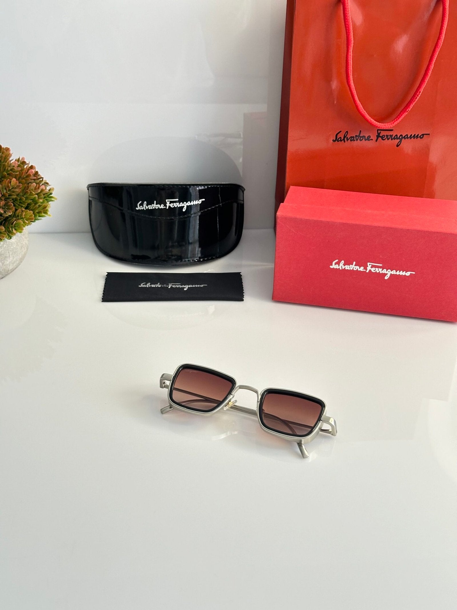 Salvatore_Ferragamo_3919_Silver_Brown_Dc
