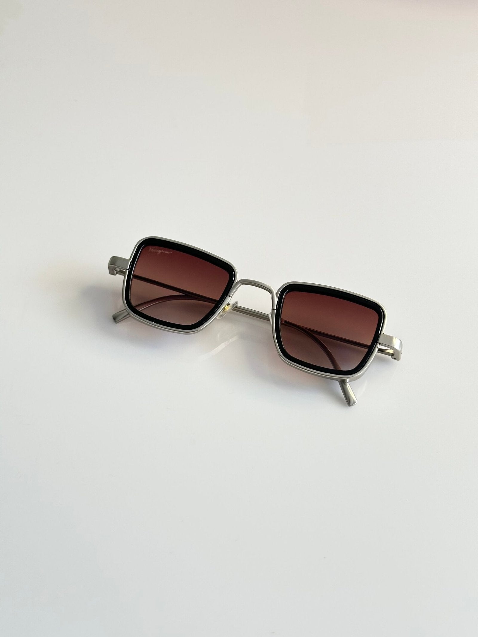 Salvatore_Ferragamo_3919_Silver_Brown_Dc
