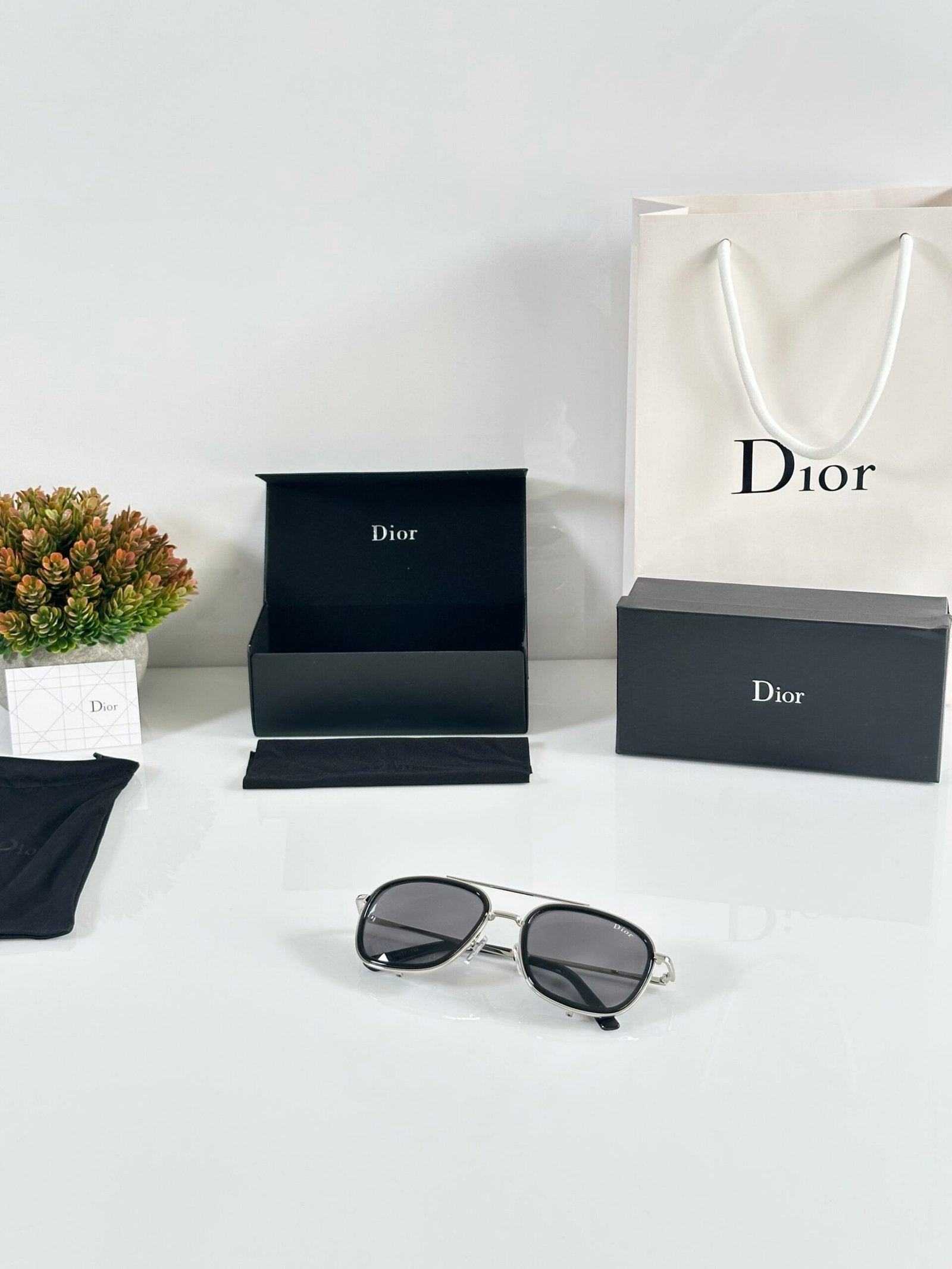 Dior_6639_Silver_Black