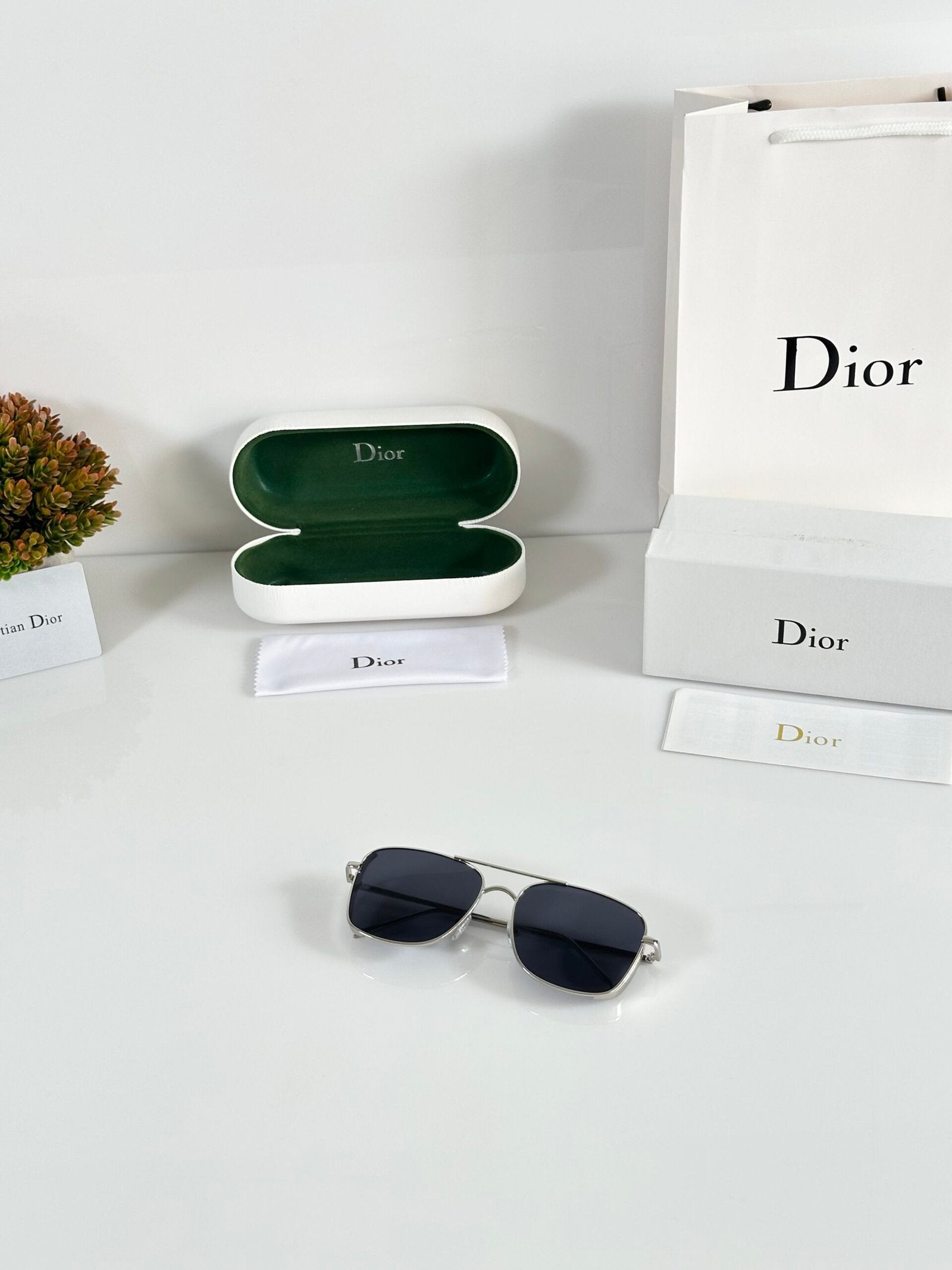 Dior_8287_Silver_Black
