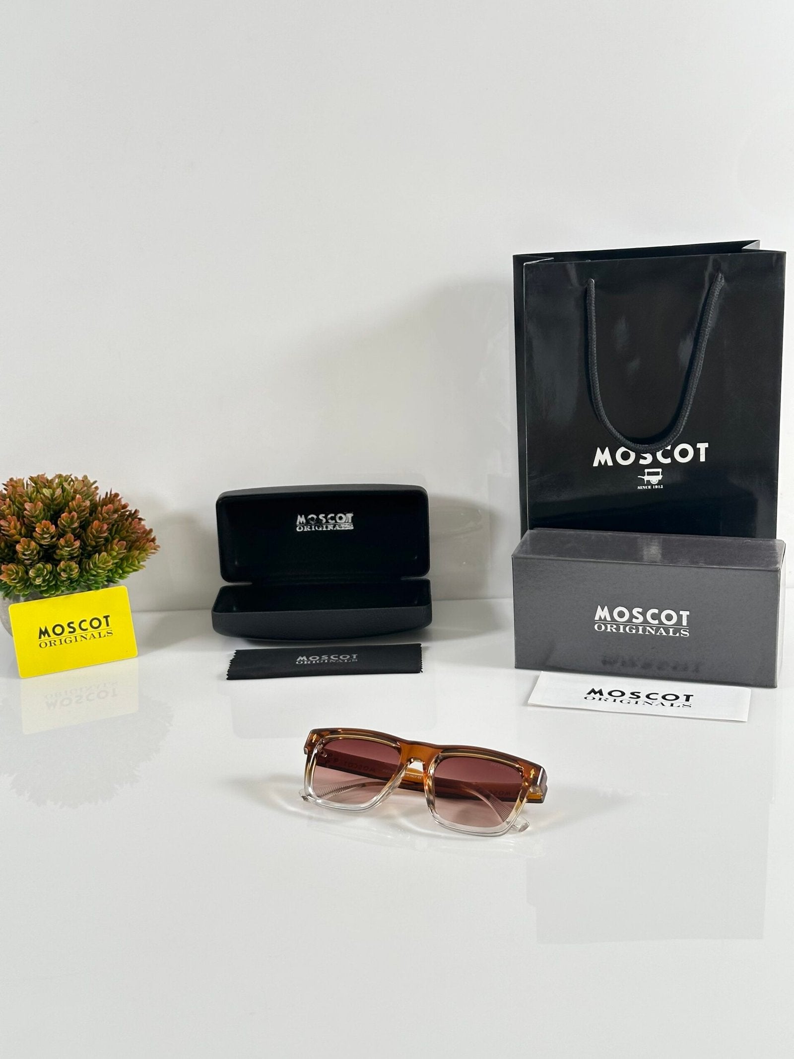 Moscot 1120 Water Brown
