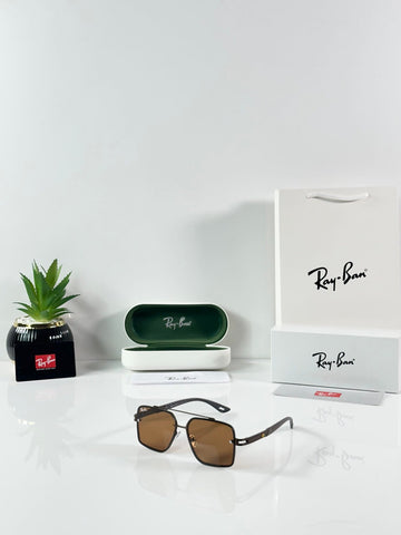 Rayban 3614 Brown