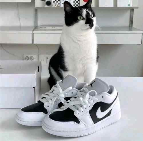 nikee jordan retro 1 low panda white black sale