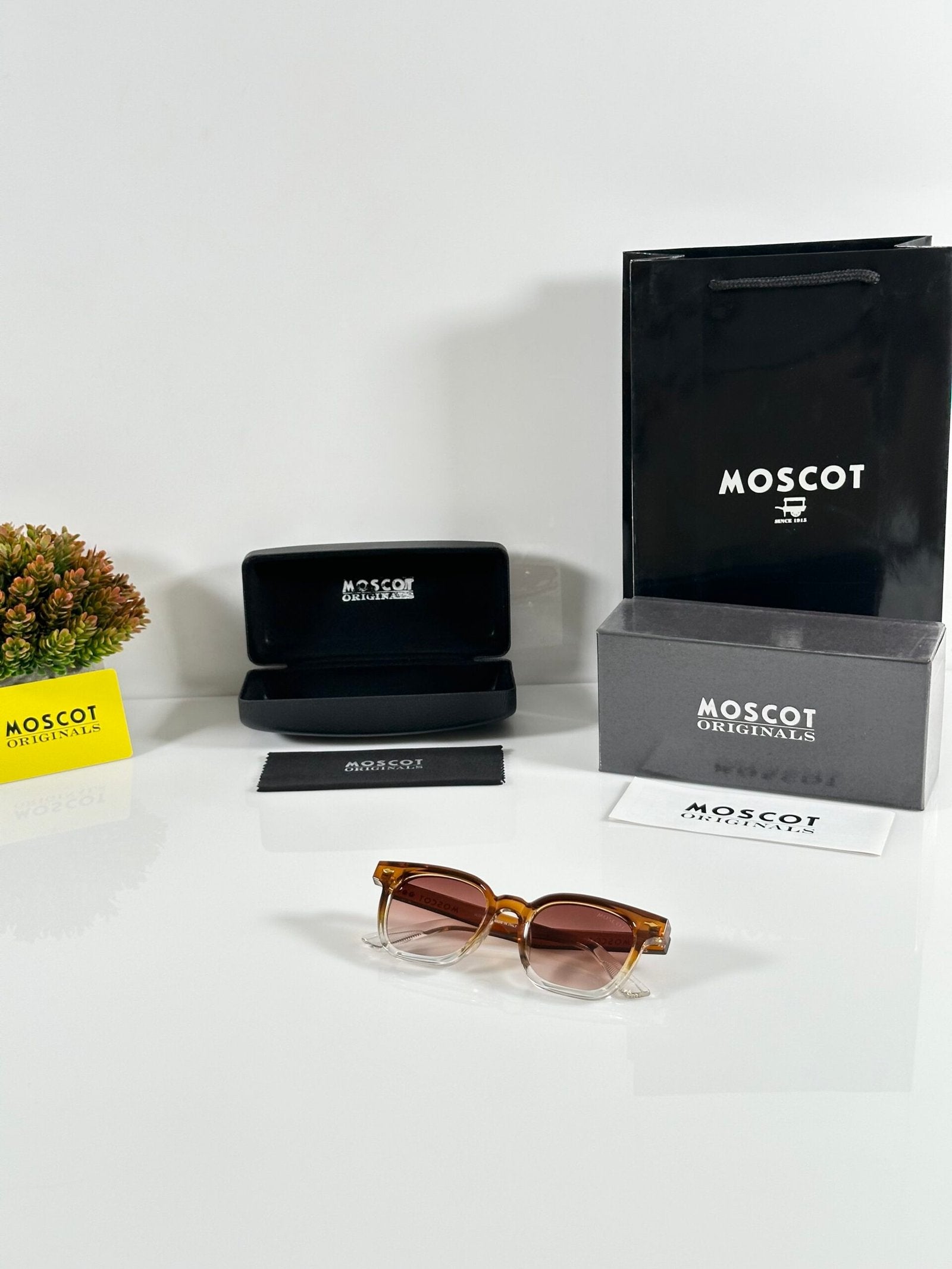 Moscot 1114 Water Brown